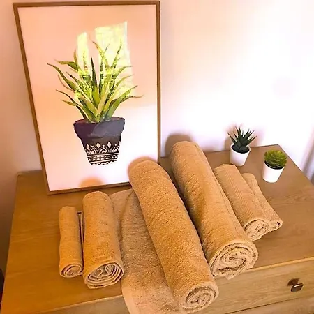 Apartment Peaceful Oasis 2 Bedrooms Center-station Rer 3 Min